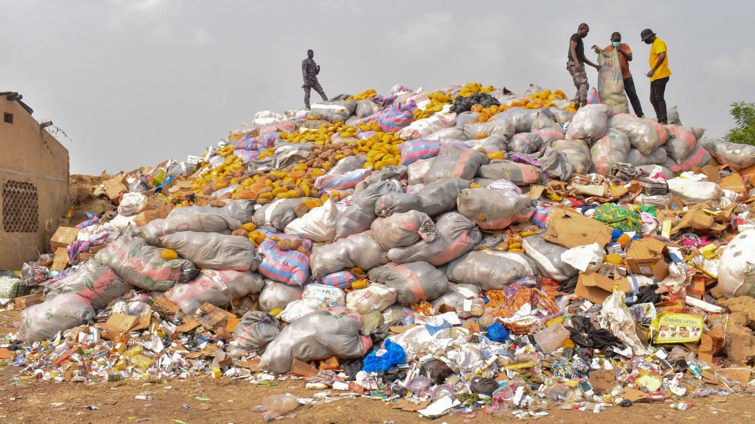 Togo | 51,77 kg de cocaïne plus de 5 291 kg de cannabis détruits à Lomé